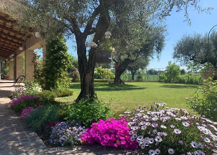 Vagamondo Πανσιόν Fano